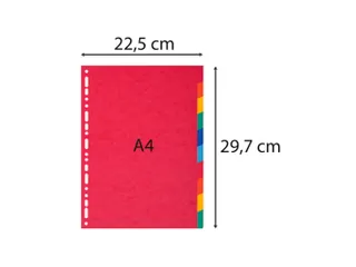 Tabbladen glanskarton 225g 10-delig A4 Assorti - 4