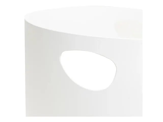 ECOBIN Papiermand 15L Office wit