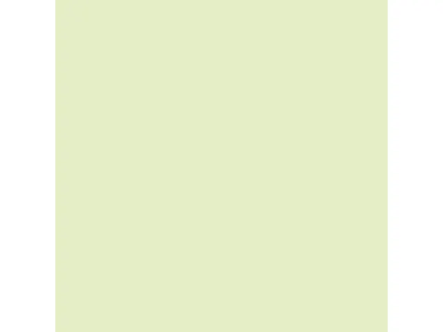 Inapa Tecno colors Gekleurd papier A4 Licht Groen 120 gram 250vel