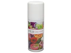 Luchtverfrisser Euro aerosol floral delight
