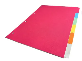 Tabblad Kangaro A4 blanco karton 180 grams assorti 4-gaats 6-delig - 4
