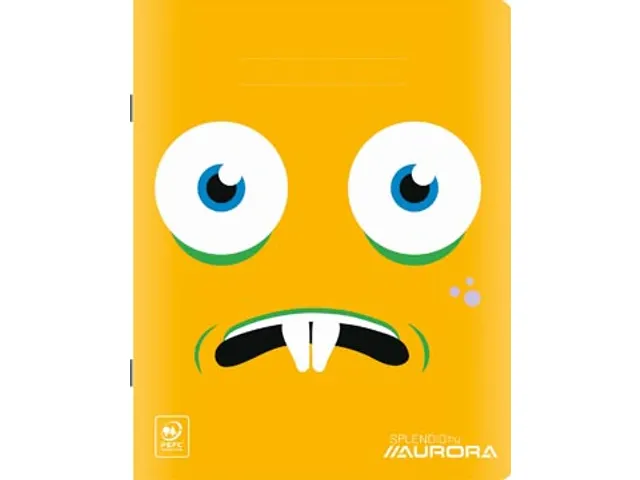 Splendid schriften 120 bladzijden, geruit 5mm 165x210mm assorti