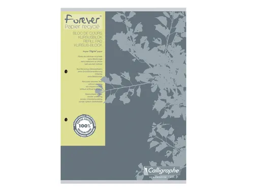 Cursusblok Clairefontaine Forever Calligraphe A4 ruit 5x5mm 2-gaats 20