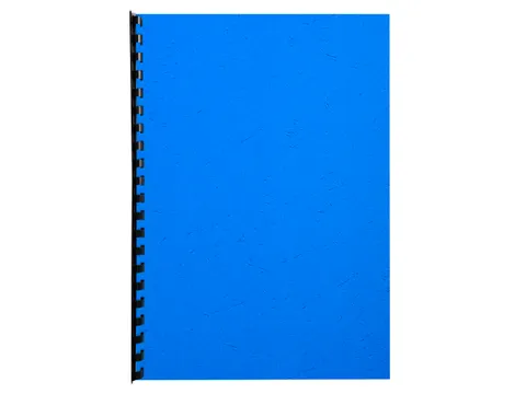 Pk 100Vl Forever Fra Nce Blauw A4 270G