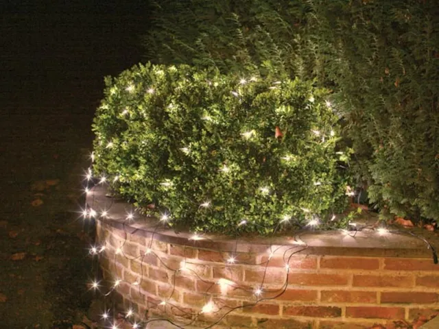 Netlight LED - 2 x 2m - 144 Warm Witte Lampen - Zwart Draad - 36 V