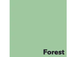 Offset papier Image Coloraction forest/middelgroen 120g 450x640mm FSC