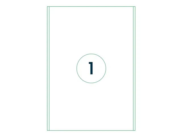 Etiket Rillstab 200x297mm Wit