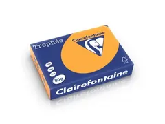 Trophée Pastel gekleurd papier A4 80 gram 500vel Oranje