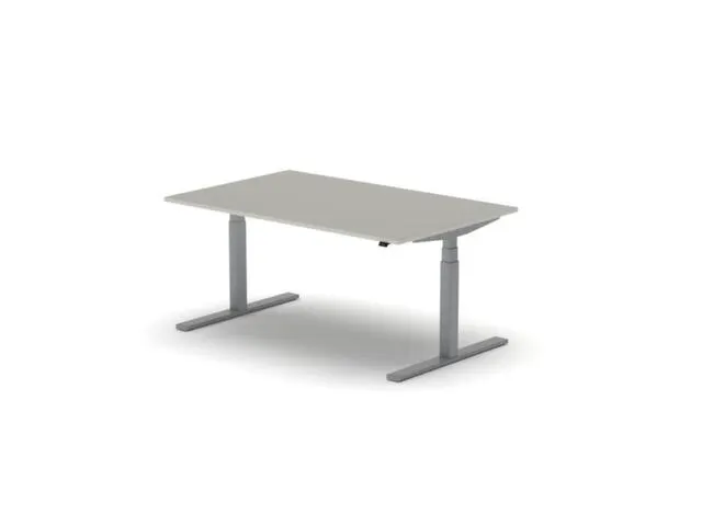 Elektrisch ihv bureau,HxBxD 650-1310x1600x1000mm,blad lichtgrijs