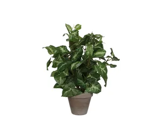 Kunstplant Mica Syngonium groen in pot 35x25cm - 4