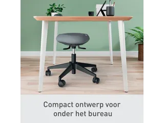 Zitkruk Leitz Ergo met wieltjes en wiebelkussen 600x470x600mm zwart - 16