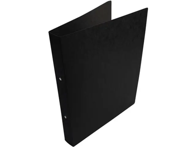 ringmap A4 uit glanskarton 2 ringen van 25 mm