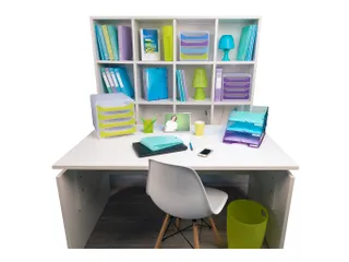 ECOBIN Papiermand 15 L anijsgroen transp. - 4