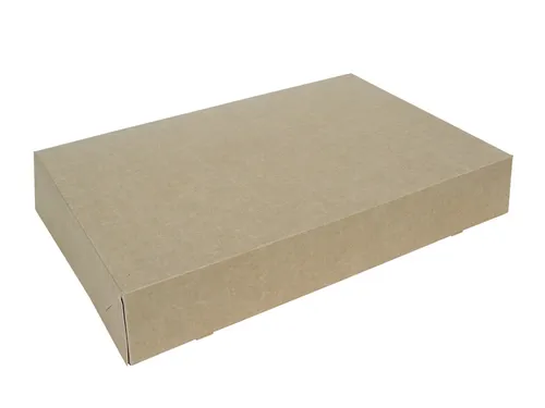 Cateringdoos IEZZY 46cm plasticvrij bruin 10 stuks