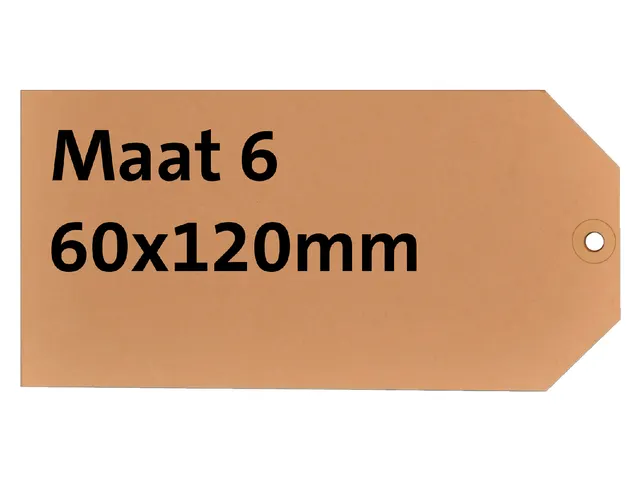 Label karton nr 6 200gr 60x120mm chamois 1000 stuks