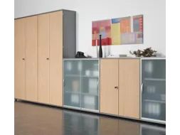 Draaideurkast Hxbxd 770x800x430mm 2 Oh Glasdeuren Behuizing Lichtgrijs