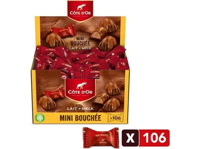 chocolade mini Bouchée melk praliné 106 stuks