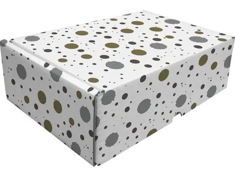 Cadeaupakketdoos Raadhuis 3 spetter 240x170x80mm krimp a 5 stuks