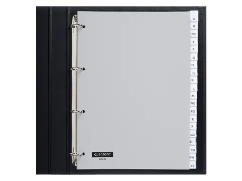 Tabbladen Quantore A4 4-Gaats 20-Delig Met Venster Grijs Pp