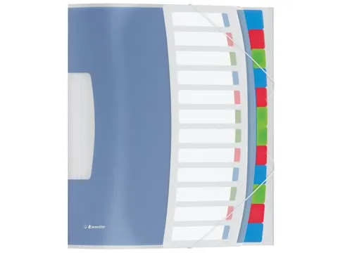 Esselte Sorteermap Vivida A4 12 vaks Assorti PP