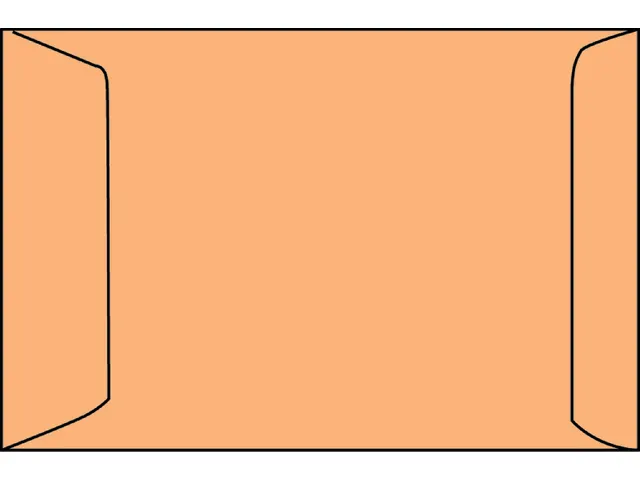 Envelop Akte 230x310mm 90gr Bruin Zelfklevend