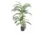 Palm Areca Golden Cane 150 Cm