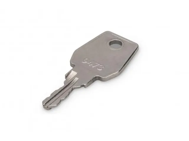 Sleutel voor FS Unique SRV & FS Dynamic WM Slim & DVR 1 stuk Type 9473