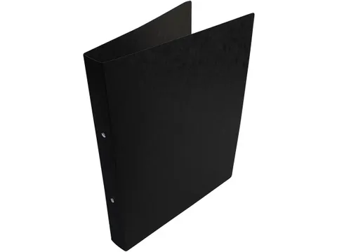 ringmap A4 uit glanskarton 2 ringen van 25 mm