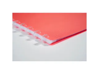 Showalbum LINICOLOR PP ring 20 tas ass - 23