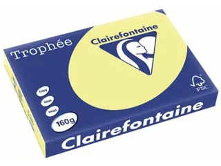 Trophée Pastel gekleurd papier A3 160 gram 250vel Citroengeel - 2