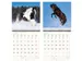 Kalender 2027 Helma 365 30x30cm paarden