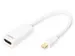 DisplayPort-adapterkabel type mini DP HDMI A St/Bu 0,15m Full HD DP 1.