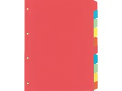 Tabbladen Kangaro 4-gaats PE410 10-delig assorti karton