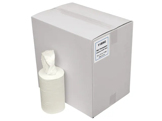 Poetsrol Blanco Mini 2-Laags zonder koker 20cmx60m 12rol