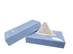 Facial tissues 2-laags cellulose wit 21x20cm 40x100 Stuks