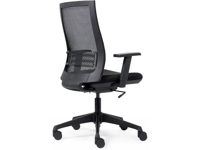 Bureaustoel Basic Ergo Net Zwart Lendensteun