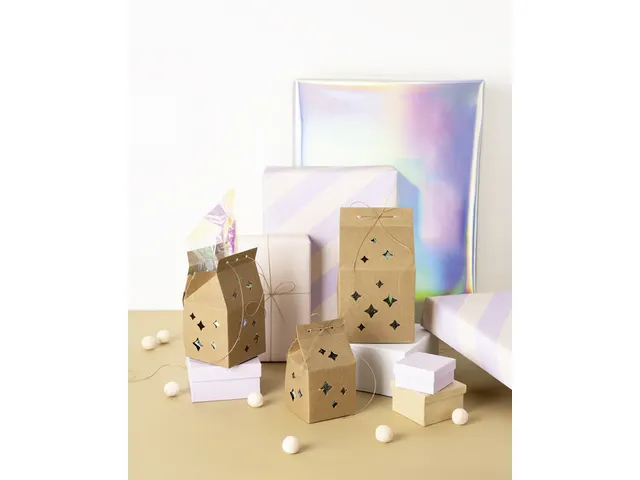Giftbox Folia Star kraft set à 6 stuks