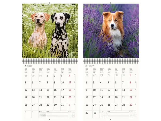 Kalender 2027 Helma 365 30x30cm honden