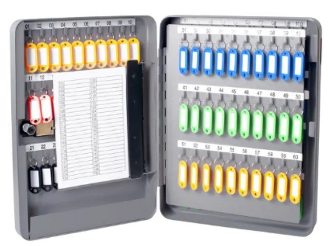 Sleutelkast metaal Pavo basic met cijferslot 130 haken 37x28x8cm grijs