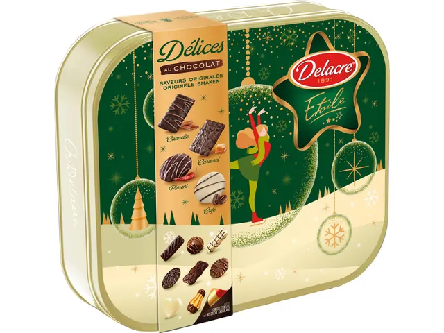Délices au chocolat 485 gram Chocolade