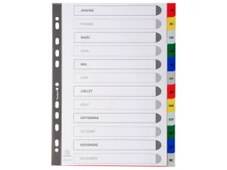 Bedrukte Tabbladen A4 12-delig Jan-dec 11-gaats Frans Assorti - 1