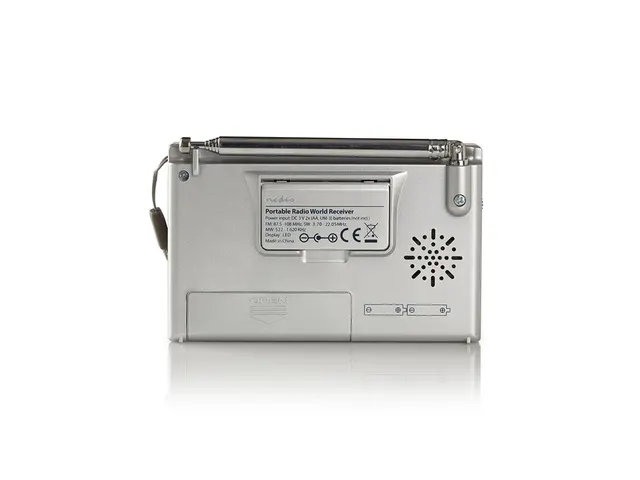Wereldradio Nedis met wekker RDWR1000GY