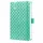 Weekagenda Flair A6 2026 (NL/FR/EN/DU) Mint Green Hardcover