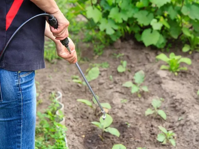 Druksproeier Met Herlaadbare Batterij - 6 L