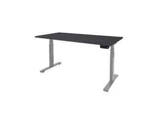 Dextro Plus Zit-sta Bureau Elektrisch 120x80 houtprint schaduw alu - 1