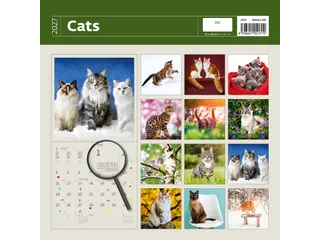 Kalender 2027 Helma 365 30x30cm katten - 3
