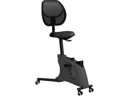 Bureaufiets Ross
