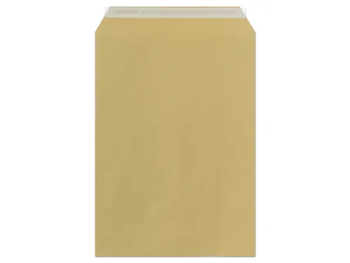 Envelop Raadhuis 229x324mm C4 akte plakstrip kraft 110gr 250 stuks in