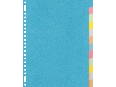 Tabbladen Kangaro A4 23-gaats RY412M 12-delig assorti karton