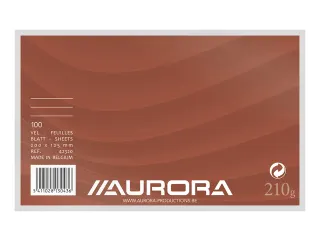 Systeemkaart Aurora 200x125mm lijn met rode koplijn 210gr wit 100 vel - 2